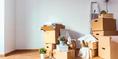 Deep Move Out Cleaning